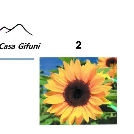 Penzion Casa Gifuni 4*