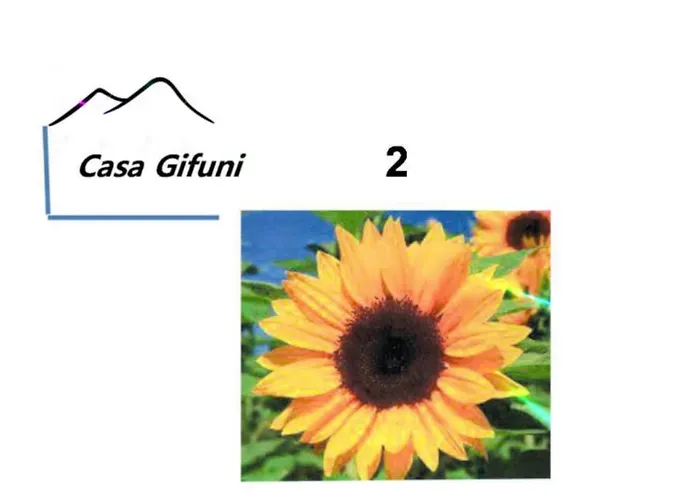 招待所 Casa Gifuni 4*